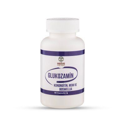 WELIVE GLUKOZAMİN KONDROİTİN MSM VE BOSWELLIA 90 CAP